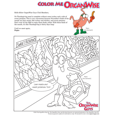 Healthy Foods During Thanksgiving Coloring Page - OrganWise Guys